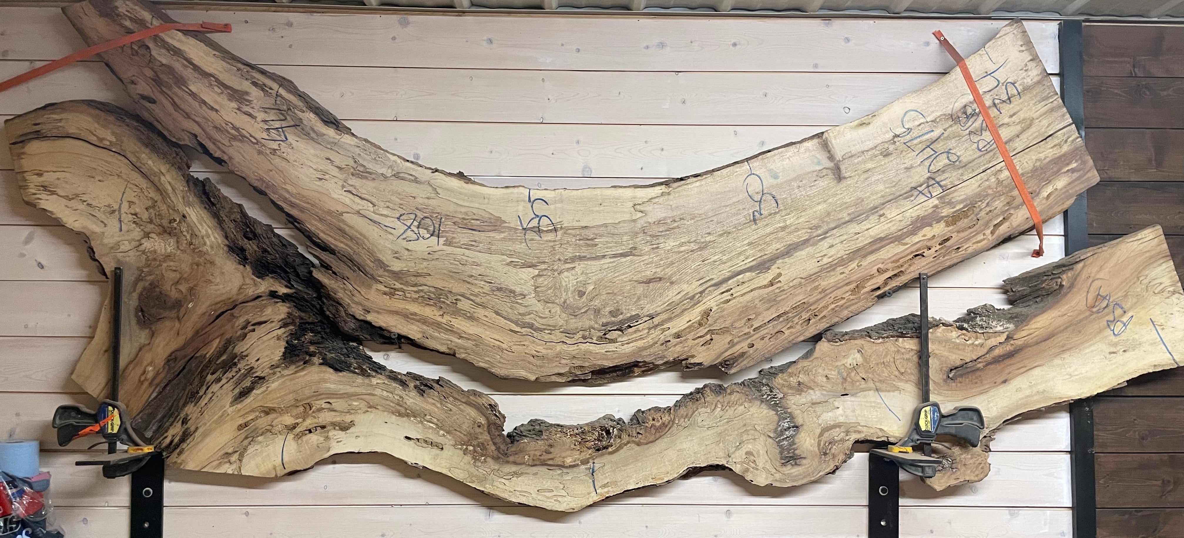 Spalted Pecan - Live Edge Character Slab